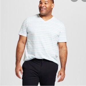 Goodfellow & Co striped v neck tee NWT